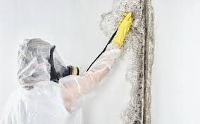 Best Mold Remediation for Healthcare Facilities  in Chatsworth, GA